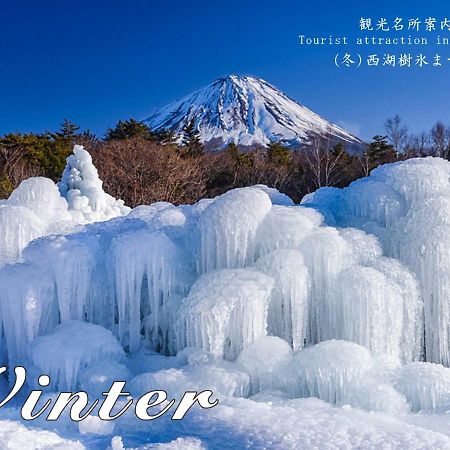 Station Villa Plaisir Mt. Fuji Fujikawaguchiko Eksteriør billede