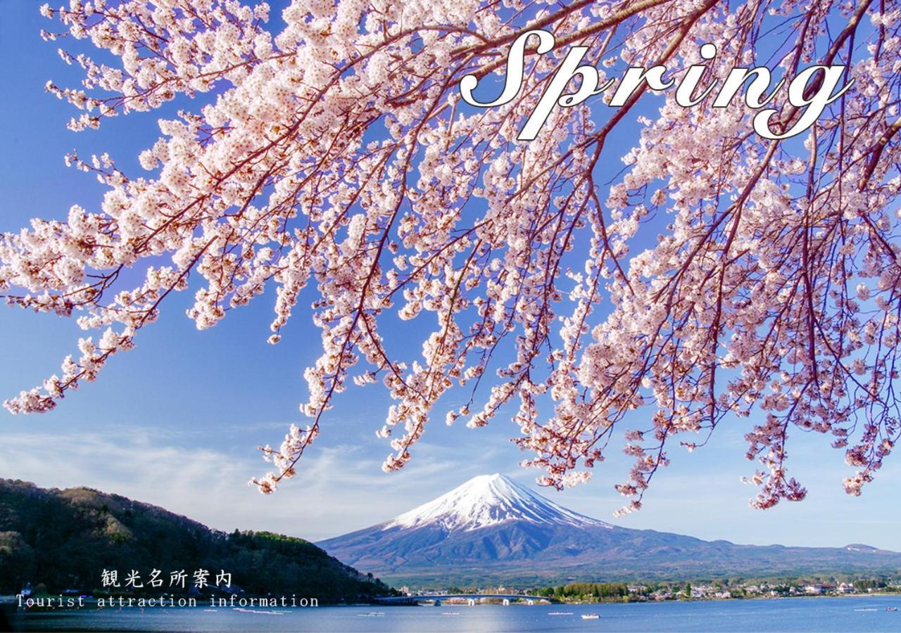 Station Villa Plaisir Mt. Fuji Fujikawaguchiko Eksteriør billede